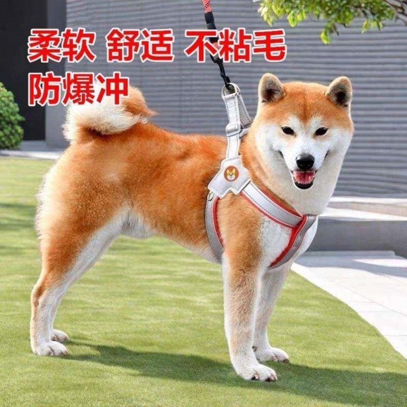 狗套头脖套中型犬小型犬泰迪狗防脱防咬狗狗背心式遛狗牵引绳链绳