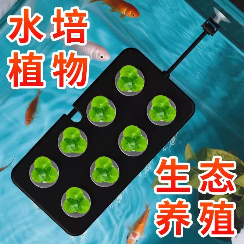 鱼缸水培绿植漂浮式种植水草固定器生态养殖净化水质造景悬浮种植