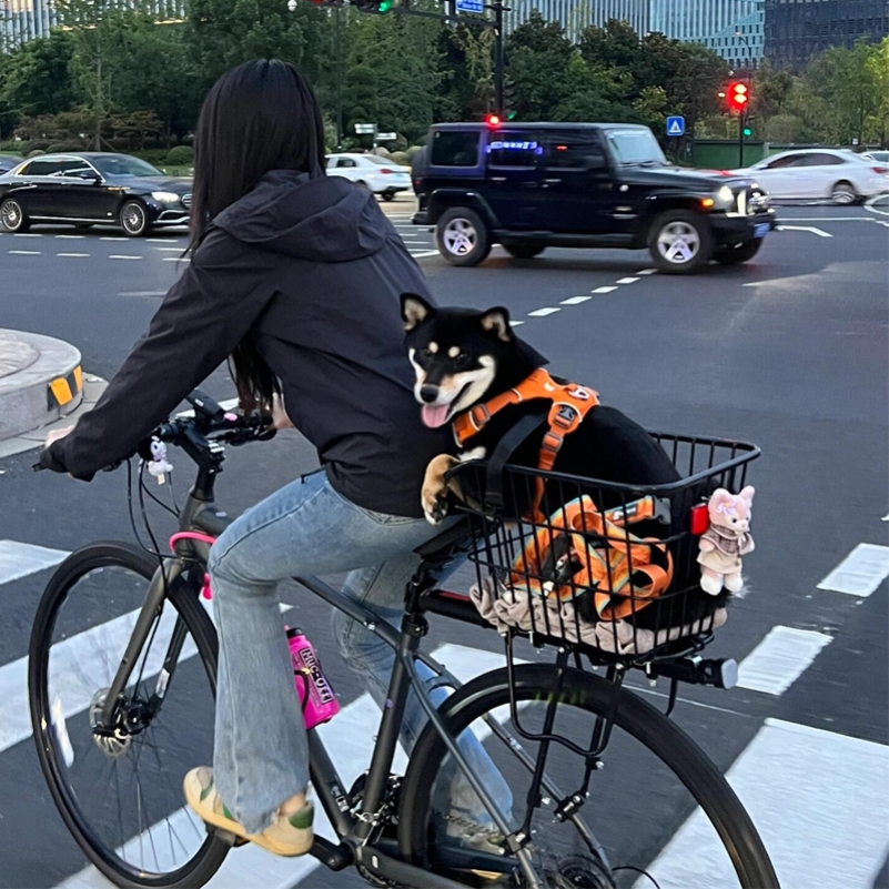 自行车狗狗座椅猫咪山子后排遛狗座神器车座宠物狗小狗筐