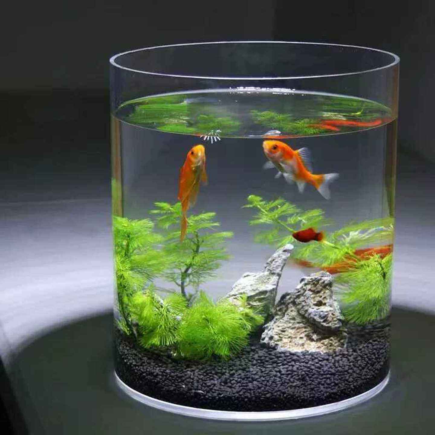 创意加厚直筒亚克力仿玻璃鱼缸圆柱形大号客厅落地花瓶水培透明