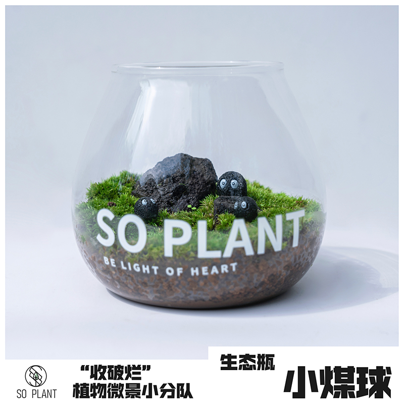 植然空间soplant闷养罐苔藓微景观瓶小煤球萌宠系列礼物好养摆件