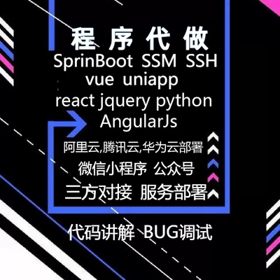 java 代码编写 vue 调试 代码修改 技术支持 解答 java程序代编