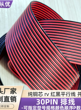 直销纯铜rv红黑色30P平行线1.0平方物联网智能设备电源延长线定制