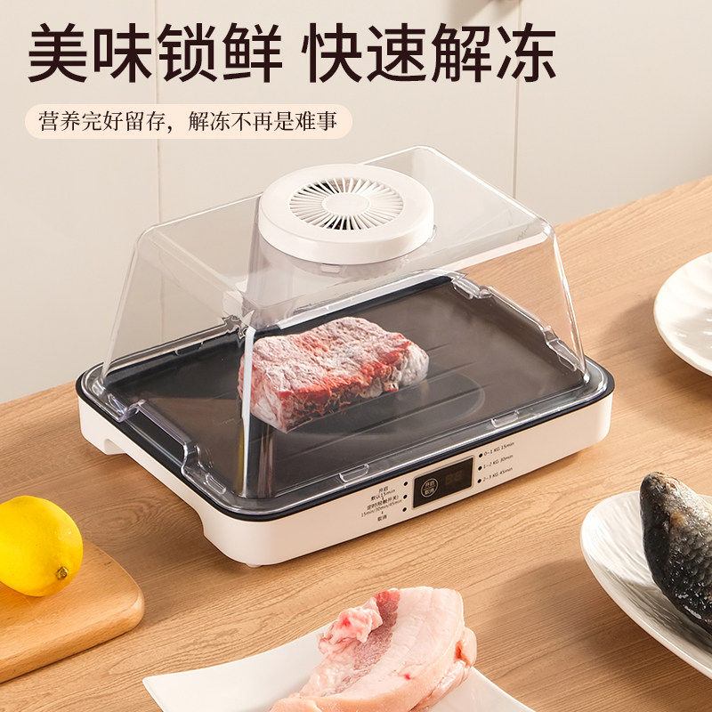解冻神器家用快速解冻肉牛排解冻导热板恒温化冻盘保鲜解冻机器