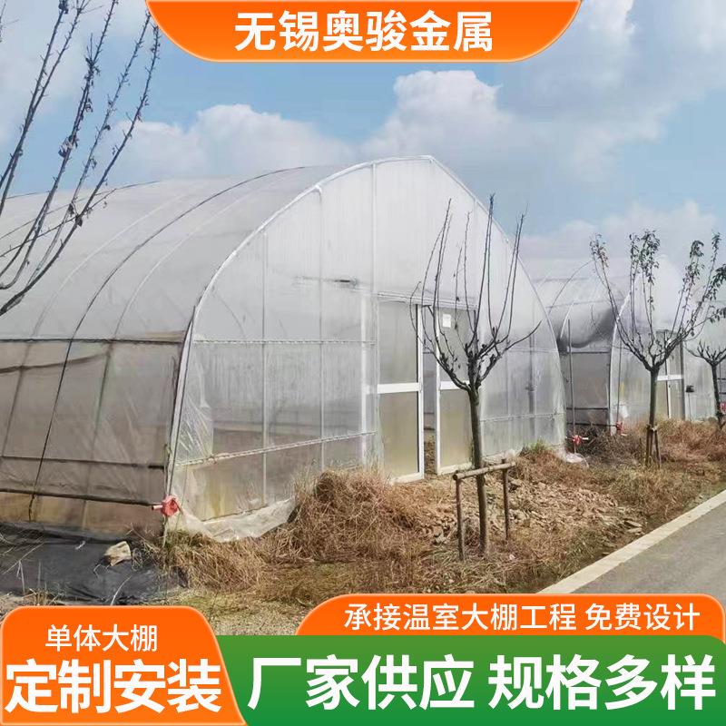 单体大棚镀锌管拱形大棚草莓独栋大棚薄膜塑料钢架大棚蔬菜大棚