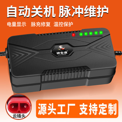 神充侠台铃电动车充电器