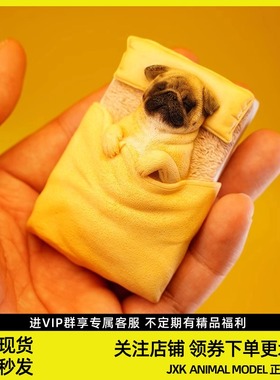 JXKsmall单身巴哥盖被子的巴哥