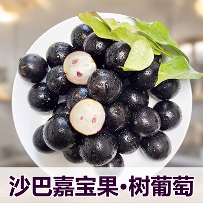 顺丰包邮沙巴嘉宝果大果鲜果现摘果园直发孕妇专属稀有水果树葡萄
