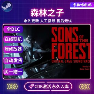 Steam正版森林之子Sons Of The Forest激活码CDK永久入库在线联机