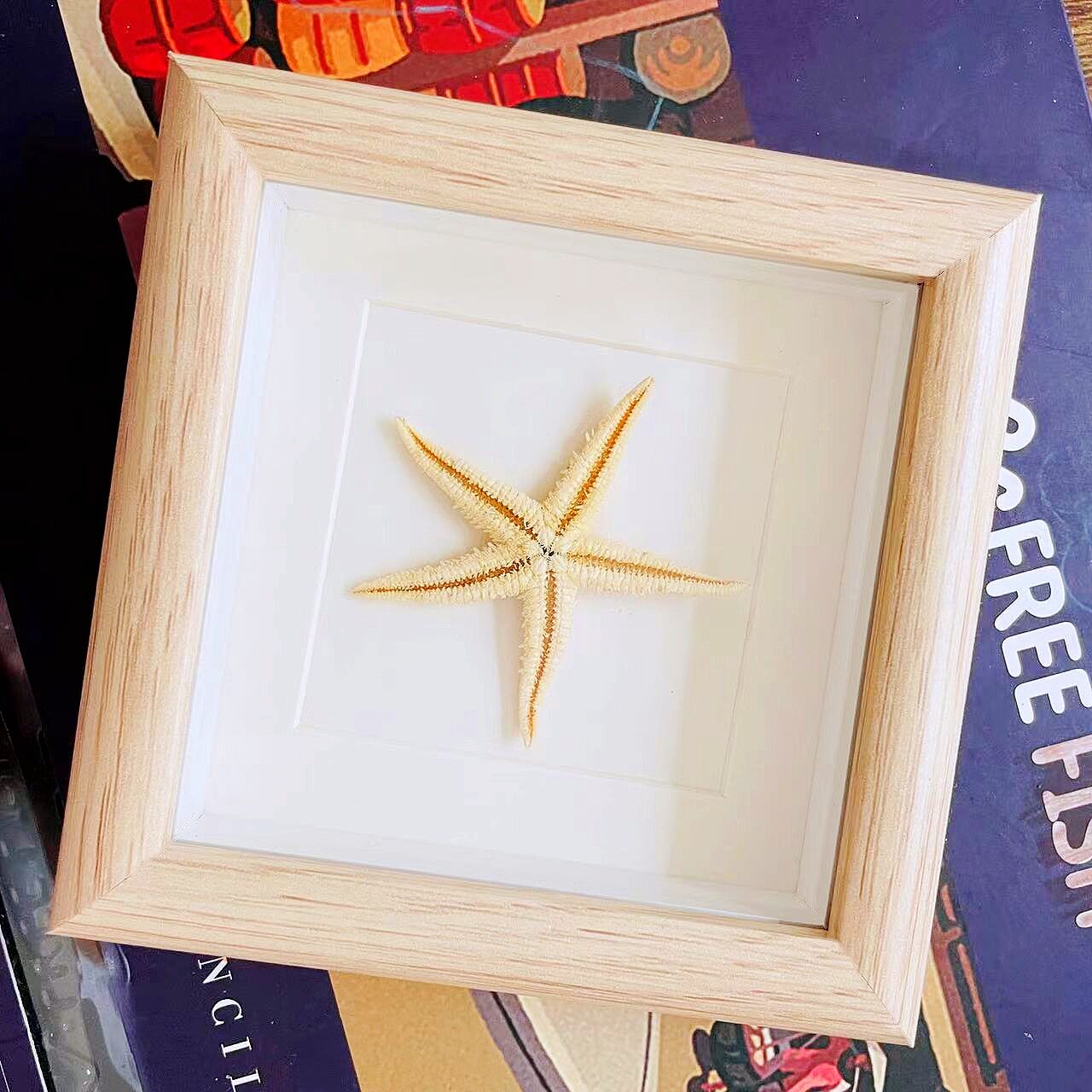 贝壳海星迷你相框手工DIY展示