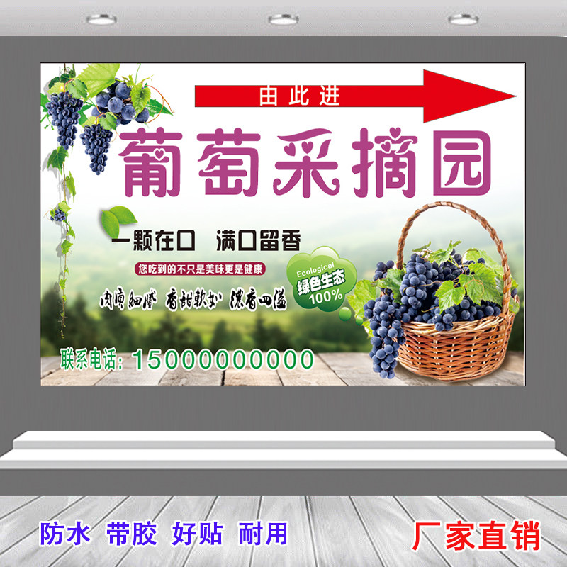 葡萄园火龙果园水果园农场采摘园图宣传广告牌海报贴纸定制喷绘布