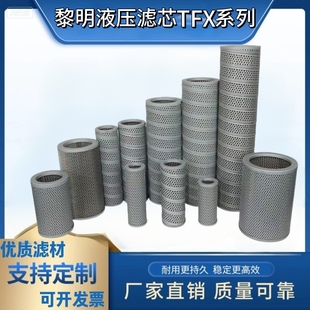 100 160 400X80 黎明TF过滤器滤芯液压吸油滤芯TFX 250
