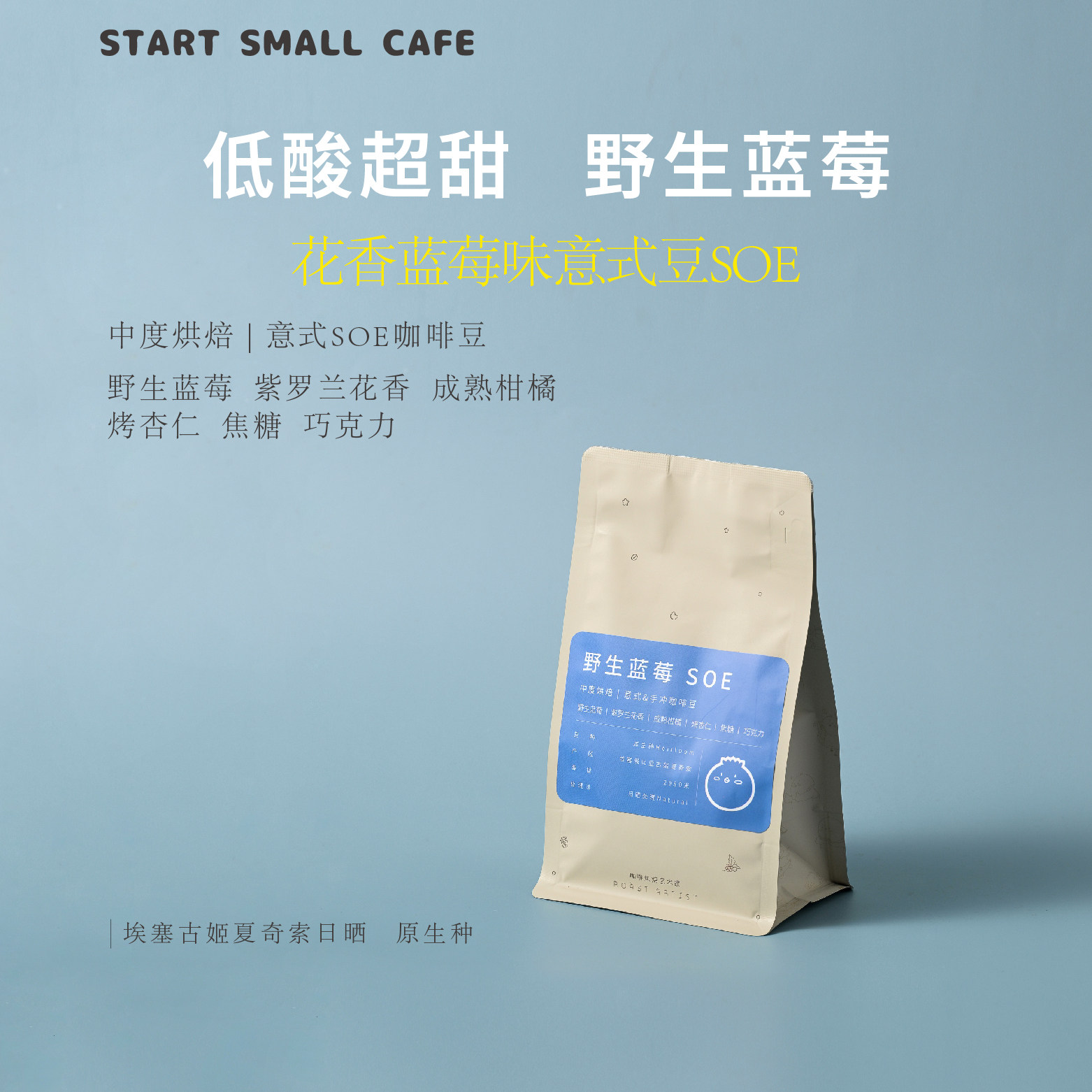 野生蓝莓SOEstartsmall意式豆蓝莓水果调香醇浓缩咖啡豆227克中烘