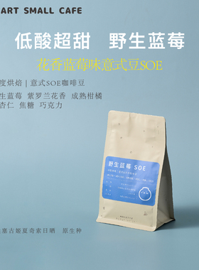 野生蓝莓SOEstartsmall意式豆蓝莓水果调香醇浓缩咖啡豆227克中烘