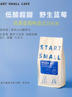野生蓝莓SOEstartsmall意式豆蓝莓2025新产季浓缩咖啡豆454克中烘