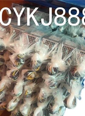 DELLOptiplex 3040 3050 3046 5040 7040 7050电源 8+4P 6+4P