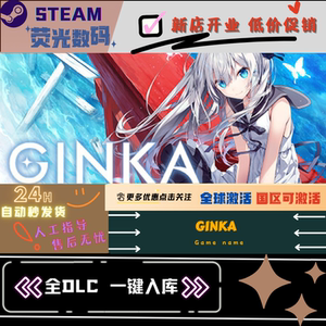 Steam 银花 GINKA 激活码CDK