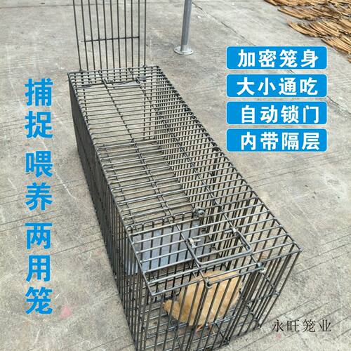 加粗钢筋全自动捕捕捉笼