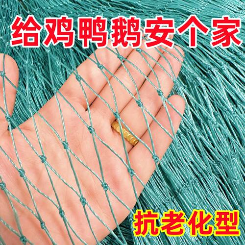 拦鸡网鸭网家禽养殖围网