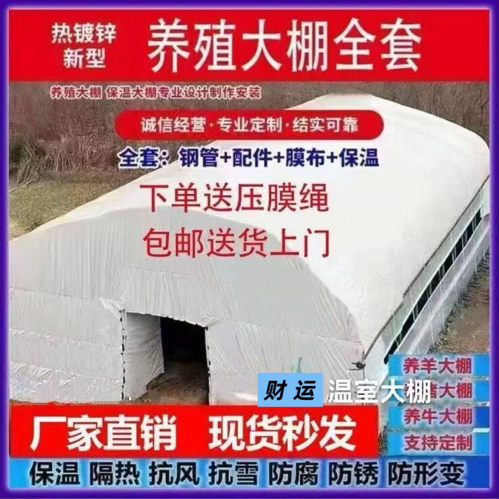 养殖大棚全套大棚骨架家用温室种植棚专业养鸡棚羊棚牛棚养猪大棚