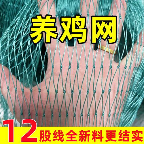 养鸡网围塑料栏网家禽养
