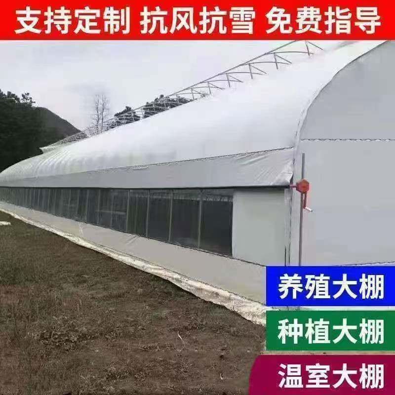 养殖大棚全套养鸡棚养鸭棚猪棚牛棚羊棚兔棚蔬菜大棚温室大棚全套