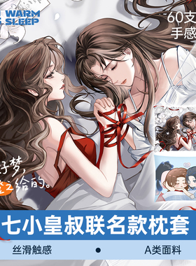 【七小皇叔联名款】温眠双芯枕记忆棉舒颈橙之枕套