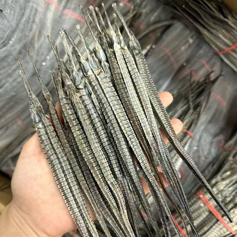 奕承阳江六角海龙10条海产干货大刁海龙原材料新晒整只泡酒料正宗