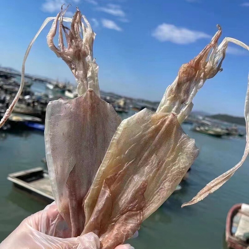 奕承阳江船晒鱿鱼干500g大号淡干