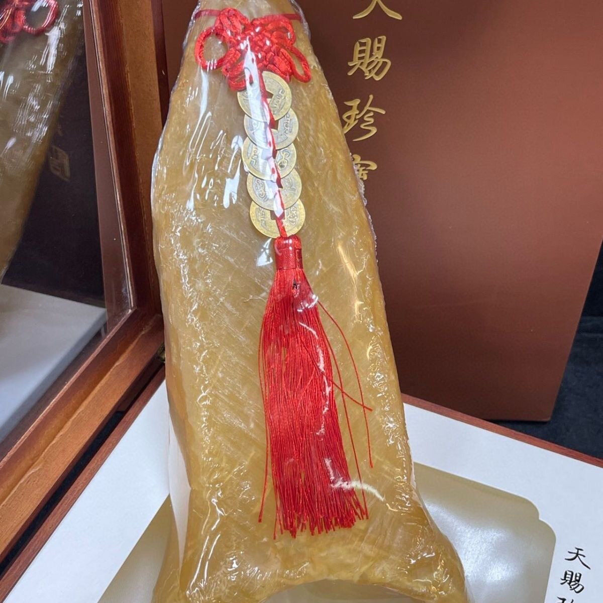 鱼胶4头特大黄花筒【收藏珍品】