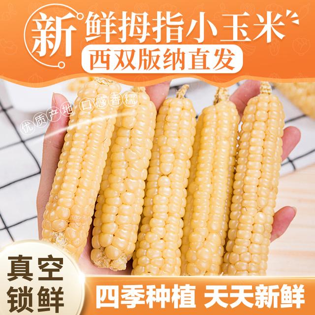 【雨林农夫】西双版纳拇指小玉米新鲜真空包装即食1斤/2斤糯玉