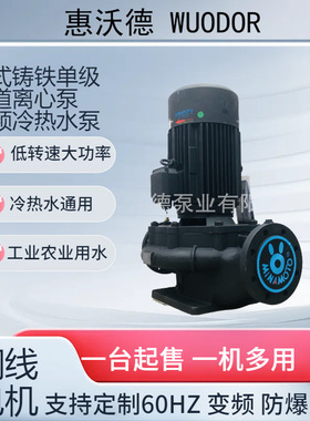 MINAMOTO防爆电机水泵GDX50-20立式高温管道离心泵3kw热水泵