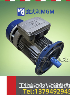 风能专用MGM偏航电机BA100LB4400/690V1415RPM变桨刹车电动机