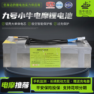 九号小牛电摩锂电池组48V/60V/72v电动车专用磷酸铁锂