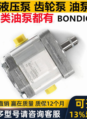 意大利BONDIOLI邦迪奥里型齿轮泵 液压油泵HPLPA压力泵 马达双联
