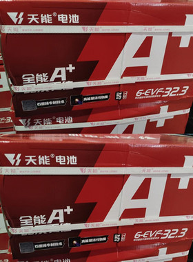72伏32安 铅酸蓄电池（6只装）6-EVF-32/12V32Ah 电瓶车电池 广州