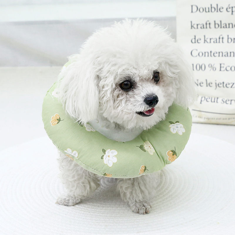 伊丽莎白圈兔子小狗狗防舔防