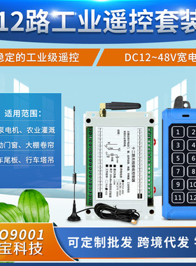 蓝色机甲风12键工业遥控直流宽压12V~48伏十二路灯具电机控制开关