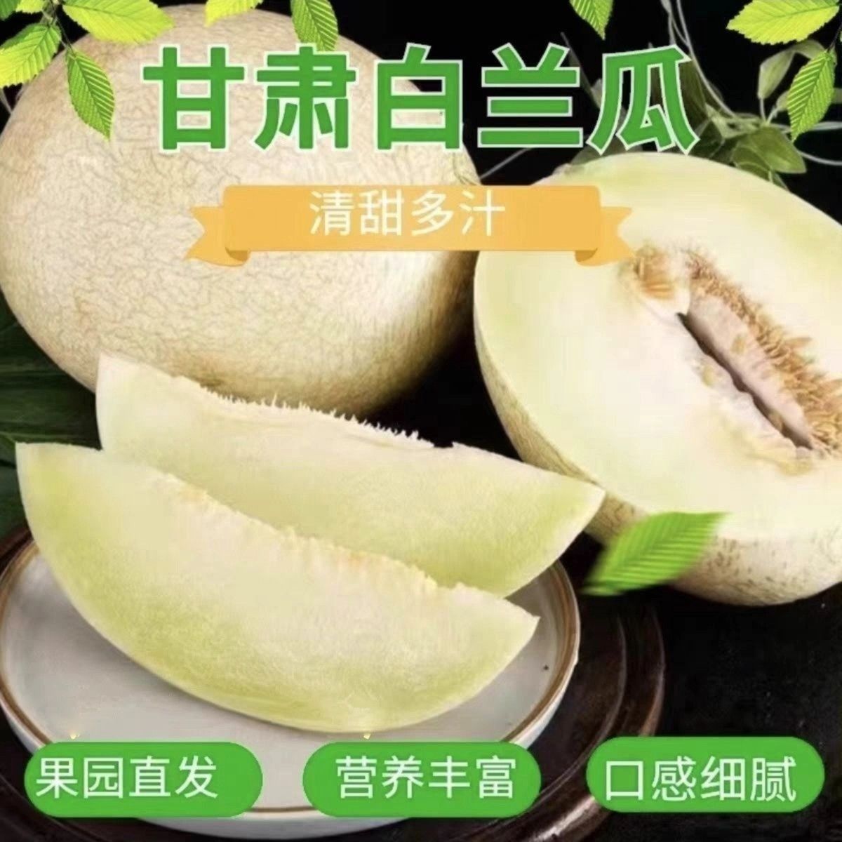 甘肃民勤沙漠银蒂白兰瓜网纹甜瓜
