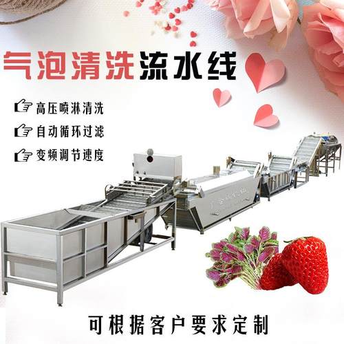 多功能果蔬气泡清洗机全自动高压喷淋洗菜机大枣菠菜去污清洗机