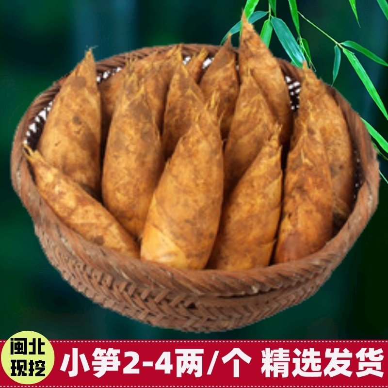 新鲜冬笋福建松溪现挖冬笋野生冬笋黄泥笋带壳毛笋农家现挖大冬笋