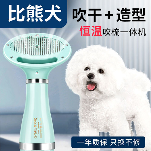 比熊犬宠物吹风机拉毛一体机狗狗洗澡烘干神器吹毛梳毛蓬松吹水机