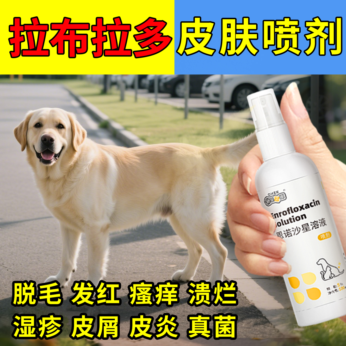 拉布拉多皮肤病恩诺沙星皮肤喷剂狗狗脱毛螨虫湿疹皮炎溃烂用药