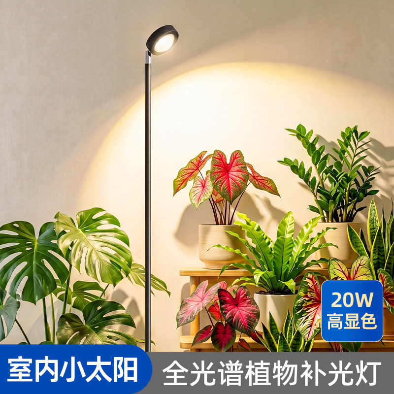 彩叶芋植物补光灯全光谱光合力量图片