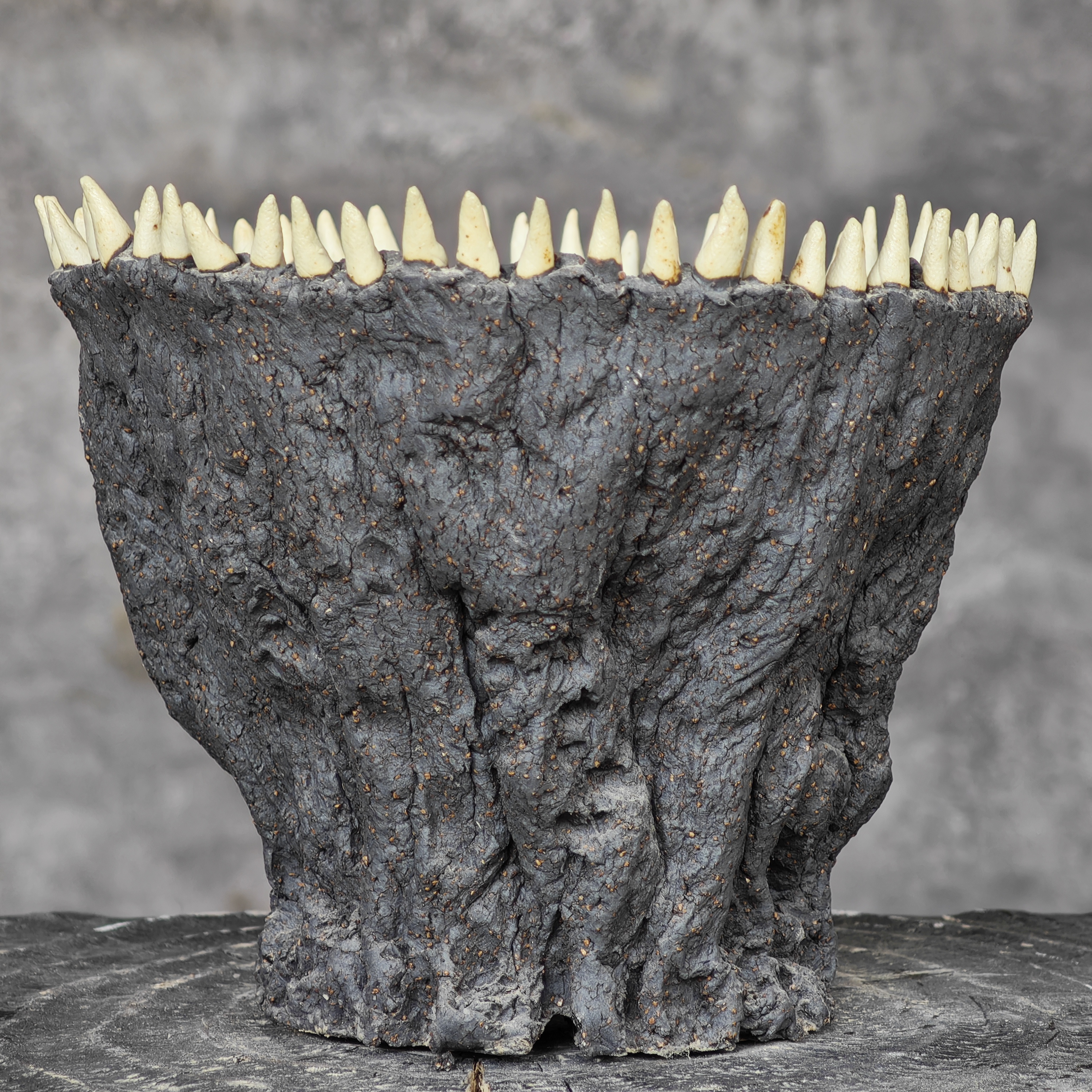 块根盆粗陶种植象足漆树牙宫布纹球多肉仙人球龟甲龙物透气陶瓷盆