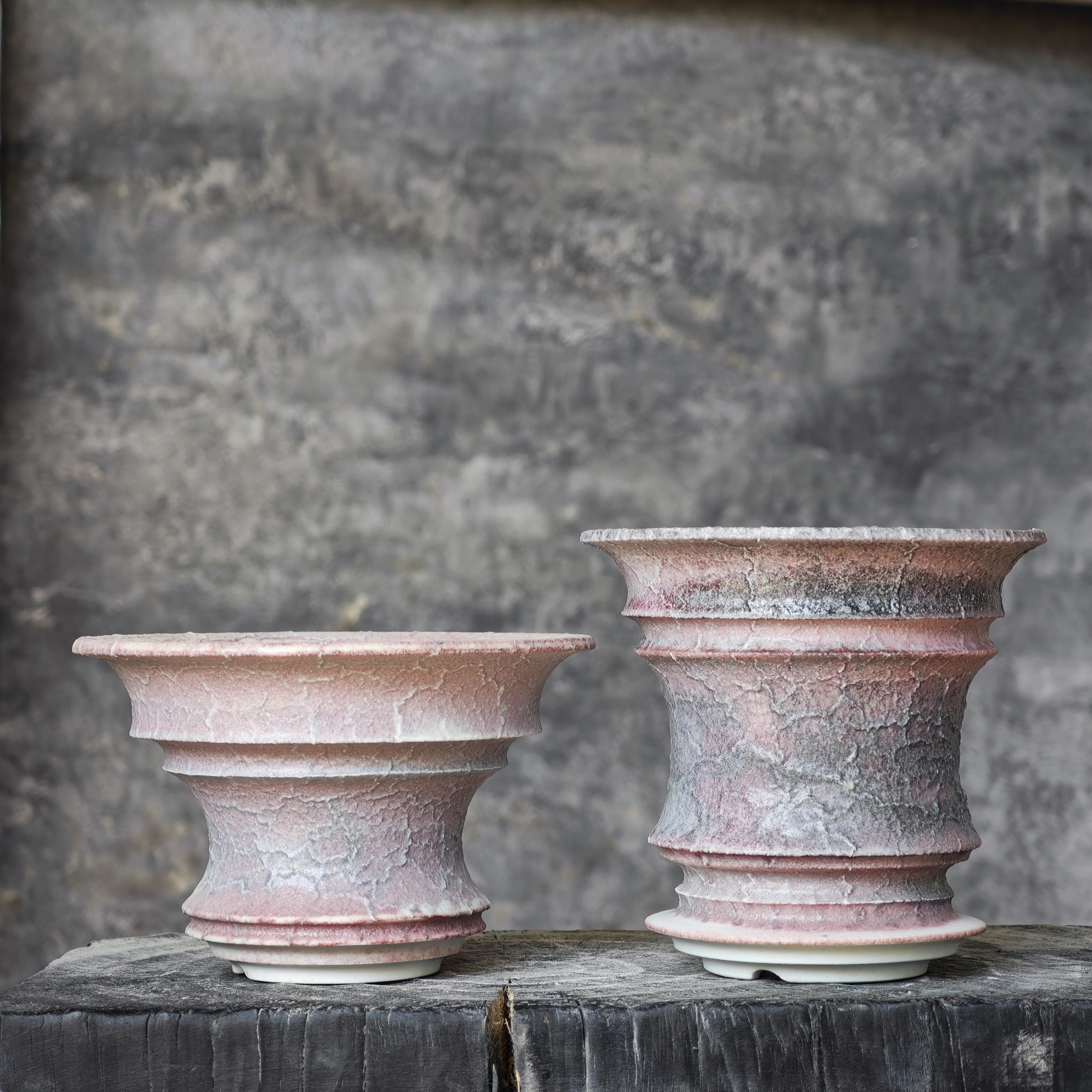 中小号粉景德镇手工制作陶瓷多肉仙人球龙舌蝴蝶兰花植物块根花盆