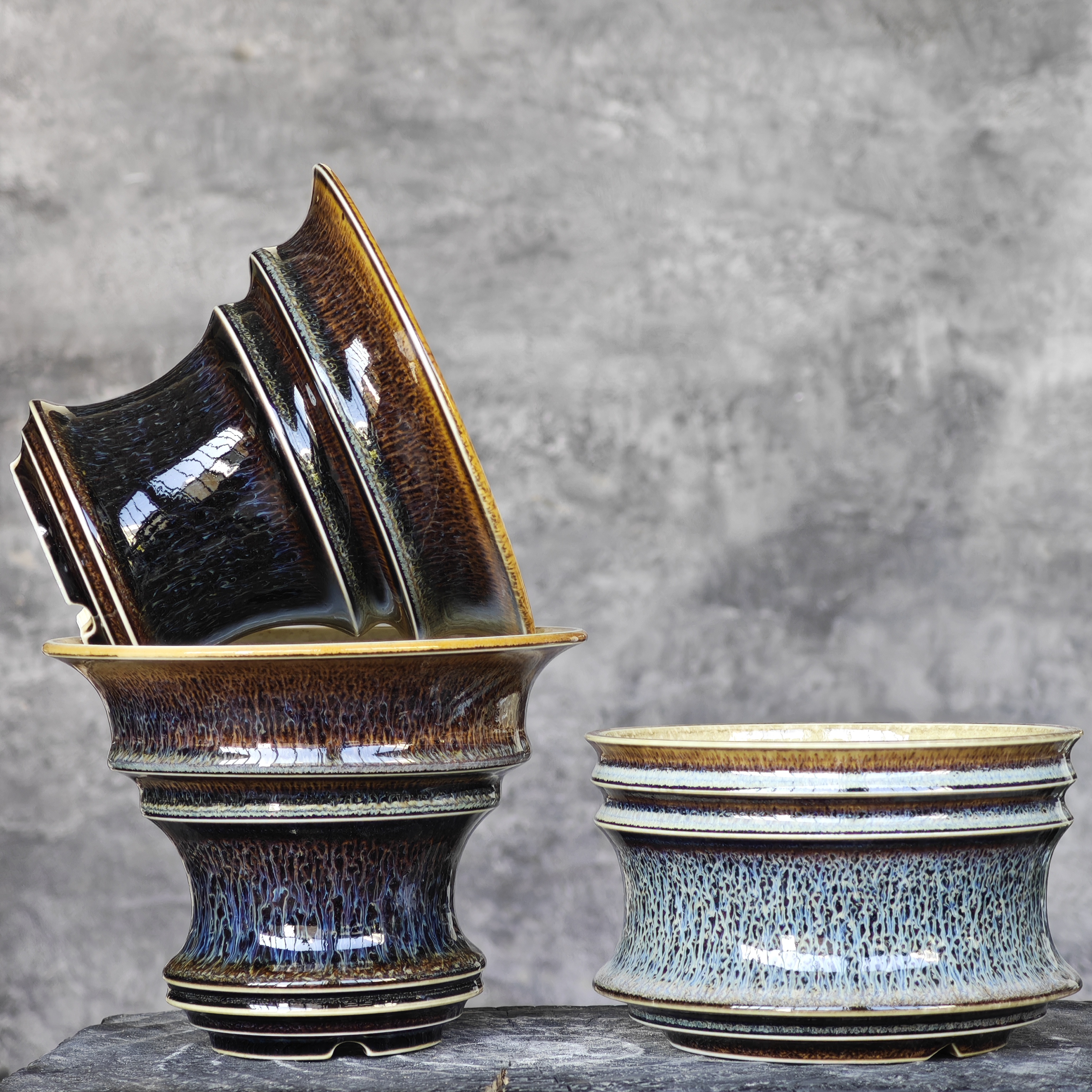 块根花盆中号蓝合集 精品多肉龙舌兰龟甲龙象芽宫种植物陶瓷盆