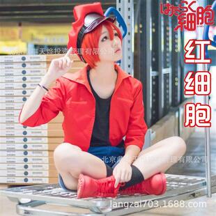 工作细胞cos 红细胞cos红血球cos白细胞血小板 cosplay服