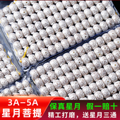 毕业级海南原生态星月菩提子108颗原籽正月佛珠项链男女手串文玩