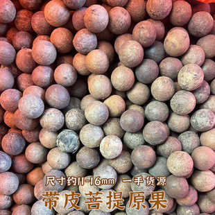 天然白玉菩提根原籽原果未打磨原料贝叶棕去皮大果散珠风化带皮